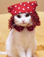 Pps di Carnevale - Clicca per scaricare gratis il pps di Carnevale oppure clicca con il tasto destro del mouse e scegli salva oggetto con nome