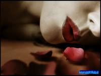 Pps donne - Clicca per scaricare gratis il pps festa delle donne oppure clicca con il tasto destro del mouse e scegli salva oggetto con nome