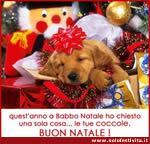 Immagini natale
