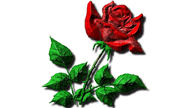 Gif amore